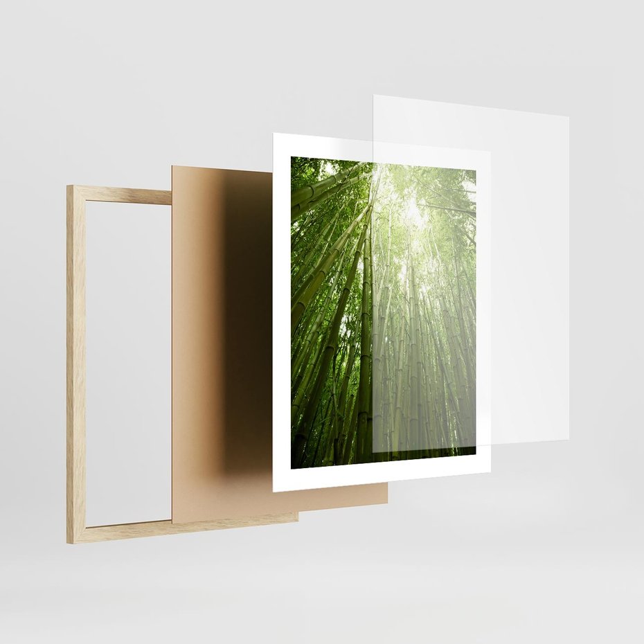 Plakat w ramie 40x50 - Siła Natury - drzewa, las - rama drewno