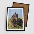 Plakat w ramie 50x70 - Siła i piękno natury - koń, łąka - rama czarna