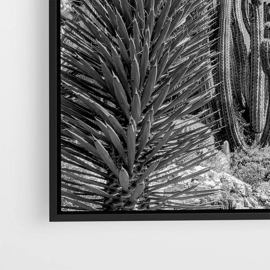 Obraz w ramie 50x50 - Pustynny Klimat - czarno białe zdjecie, pustynia - rama czarna