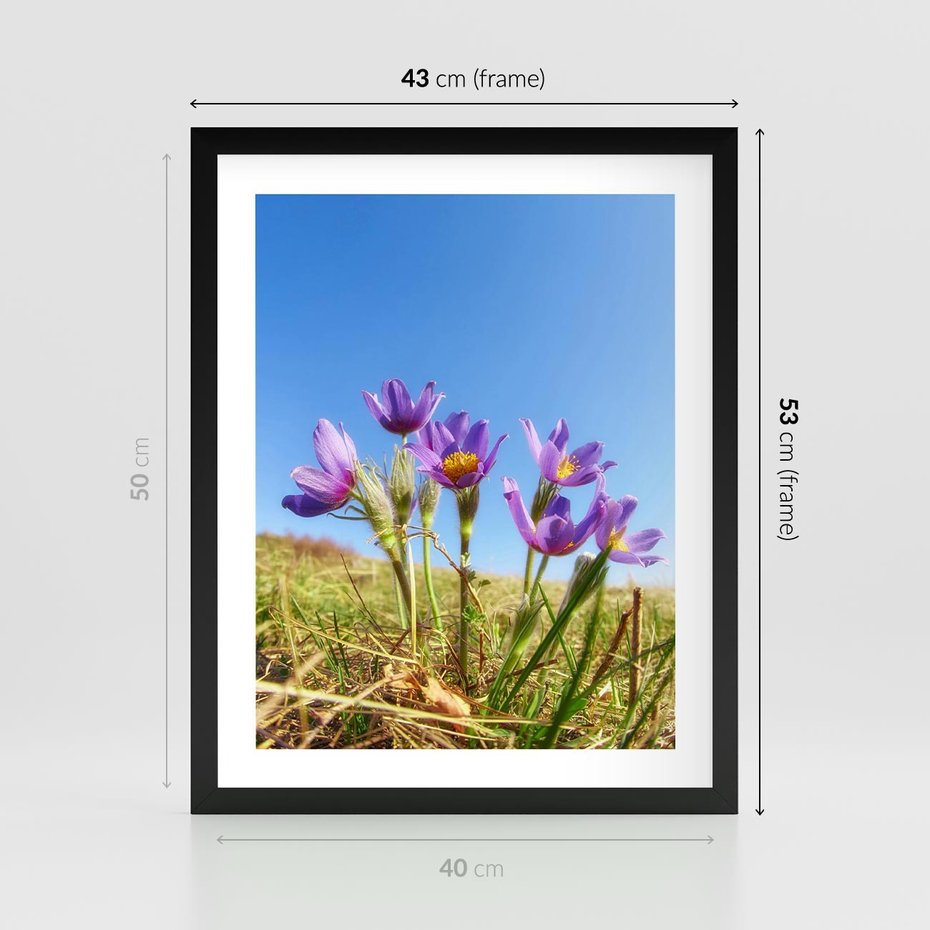 Plakat w ramie 40x50 - Kwiatowa siła łąki - kwiaty, łąka - rama czarna