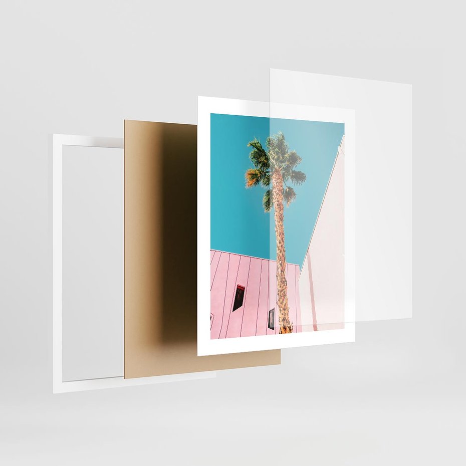 Plakat w ramie 40x50 - Palma w Miami - palma, miami - rama biała