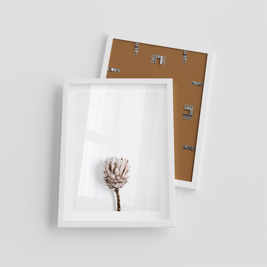 Plakat w ramie 30x40 - Suszona Roślina na Białym Tle - minimalizm, suszona roślina - rama biała