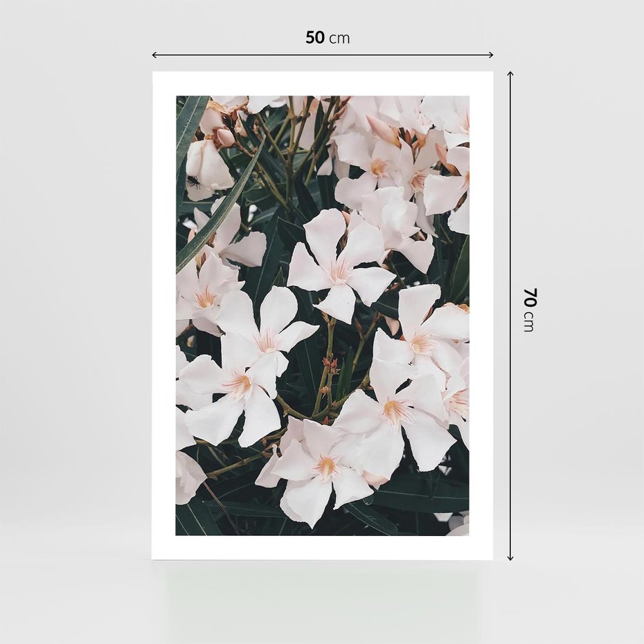 Plakat bez ramy 50x70 - Egzotyczna Uroda - białe kwiaty, tropikalne kwiaty