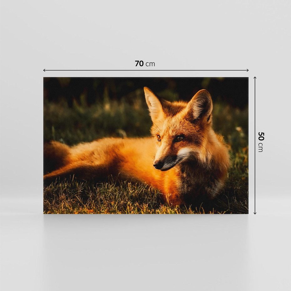 Obraz na płótnie 70x50 - Lisek w lesie - lis, lisek