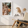 Plakat bez ramy 21x30 - Tropikalna Palma: Fotografia z Kokosami - palma kokosowa, kokosy