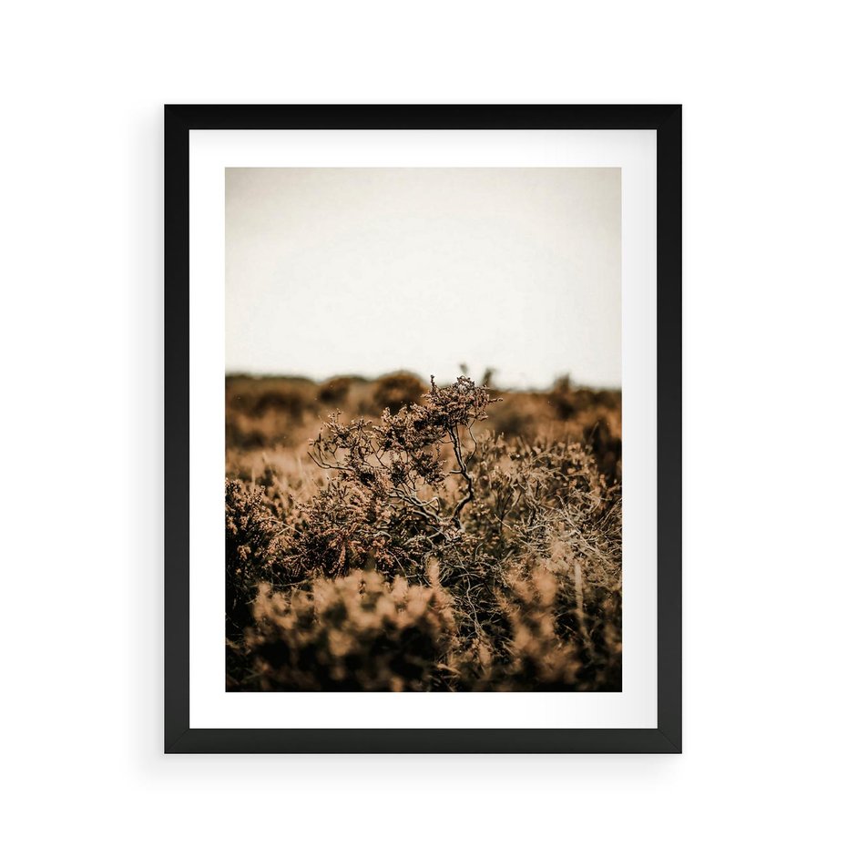 Plakat w ramie 40x50 - Krajobraz W Naturze: Beże i Brązy - suche krzewy, natura - rama czarna