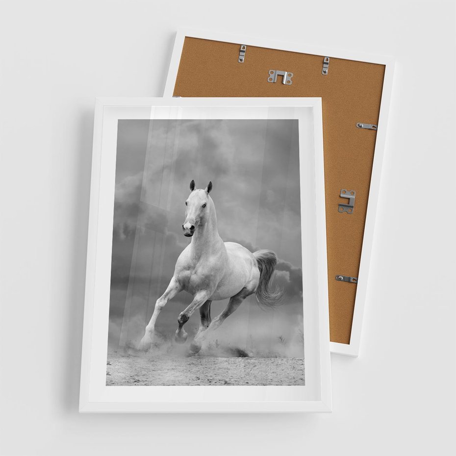 Plakat w ramie 50x70 - Elegancja w Czarno-Białym - koń, biało - rama biała