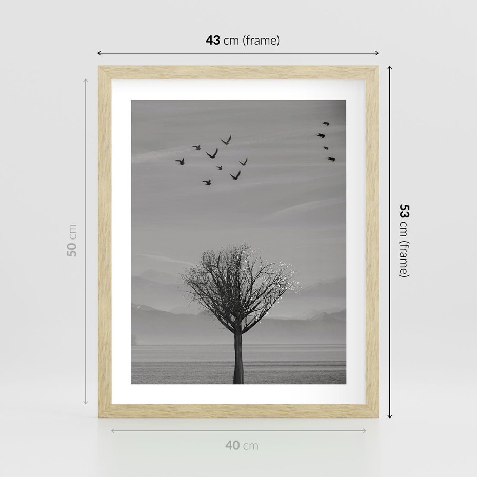 Plakat w ramie 40x50 - Samotne Drzewo - samotne drzewo w polu, czarno białe zdjęcie - rama drewno