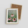 Plakat w ramie 30x40 - Natura w Pełnym Blasku - kwiaty na łące, różowe kwiaty polne - rama drewno
