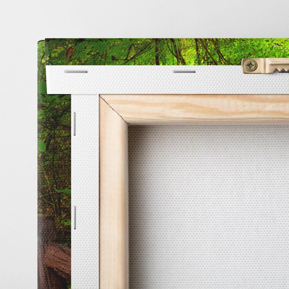 Obraz na płótnie 50x50 - Magiczne schody w lesie - schody, las