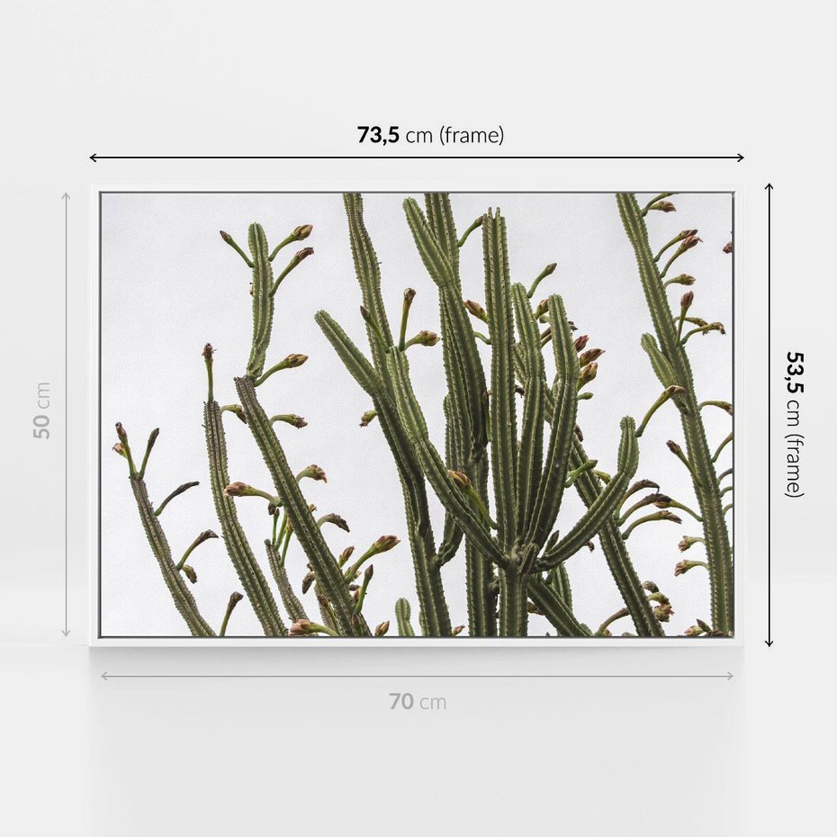Obraz w ramie 70x50 - Ekskluzywna Roślinność - kaktusy, liście - rama biała