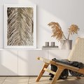 Plakat w ramie 50x70 - Boho Urok Palmy: Zbliżenie Natury - sucha palma, zbliżenie - rama biała