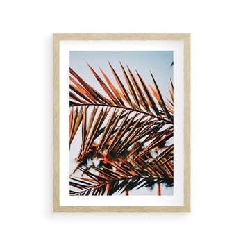Plakat w ramie 40x50 - Tropikalna Harmonia - palma, liście palmy - rama drewno