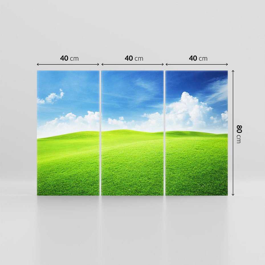 Obraz na płótnie 120x80 - Łąka pod Niebem - łąka, niebo