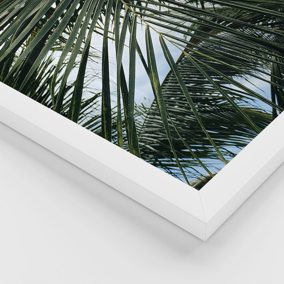 Zestaw obrazy w ramie 30x40 galeria - Palmy, pozytywe, myślenie - rama biała