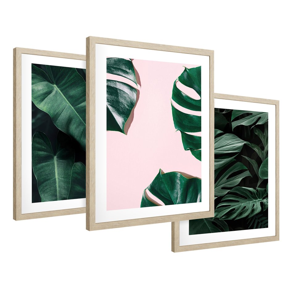 Zestaw obrazy w ramie 40x50 galeria - Monstera, liście, tło, tropikalne - rama drewno