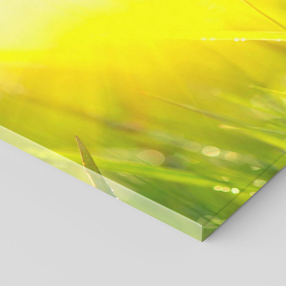 Obraz na płótnie 90x30 - Piękno Poranka - łąka, trawa