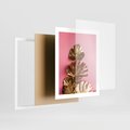 Plakat w ramie 40x50 - Złote Liście Monstery: Delikatność na Różowym Tle - złote liście monstery, różowe tło - rama biała