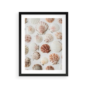 Plakat w ramie 40x50 - Morska Delikatność: Muszelki na Białym Tle - kompozycja, morskie muszelki na białym tle - rama czarna