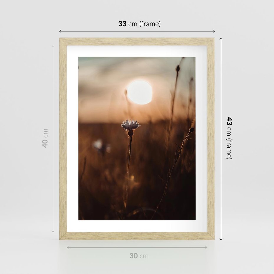 Plakat w ramie 30x40 - Spokój łąki pod zachodem słońca - zachód, słońca - rama drewno