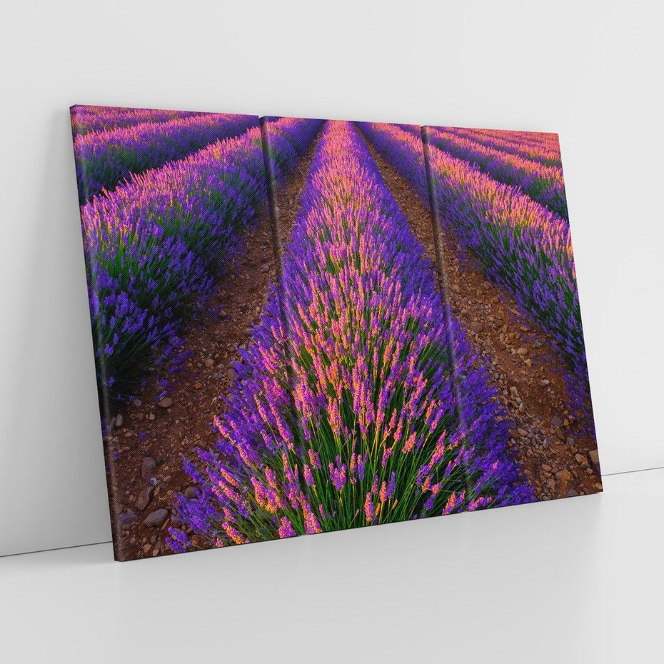 Obraz na płótnie 120x80 - Fioletowa Magia - pole, lawendy
