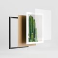 Plakat w ramie 30x40 - Minimalistyczne Kaktusy na Białym Tle - kaktusy, minimalistyczna fotografia - rama czarna