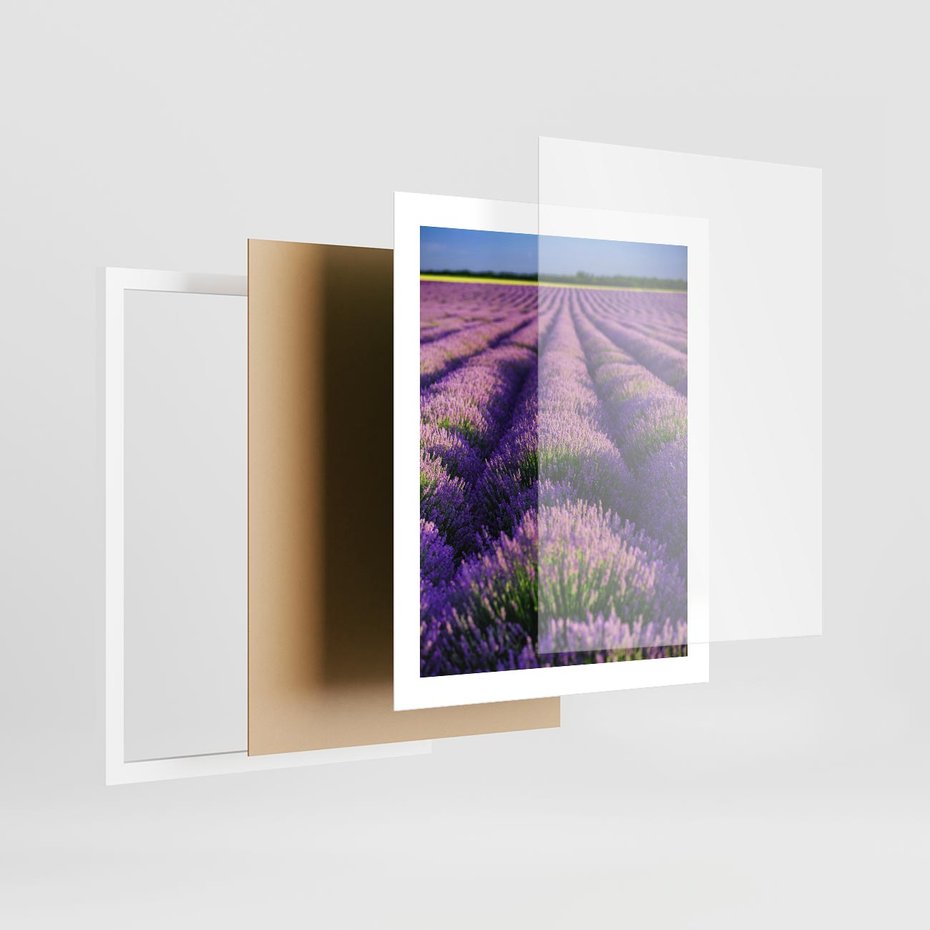 Plakat w ramie 40x50 - Malownicze Pole Lawendy - lawenda, pole - rama biała
