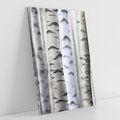 Obraz na płótnie 80x120 - Delikatność brzóz - brzozy, las