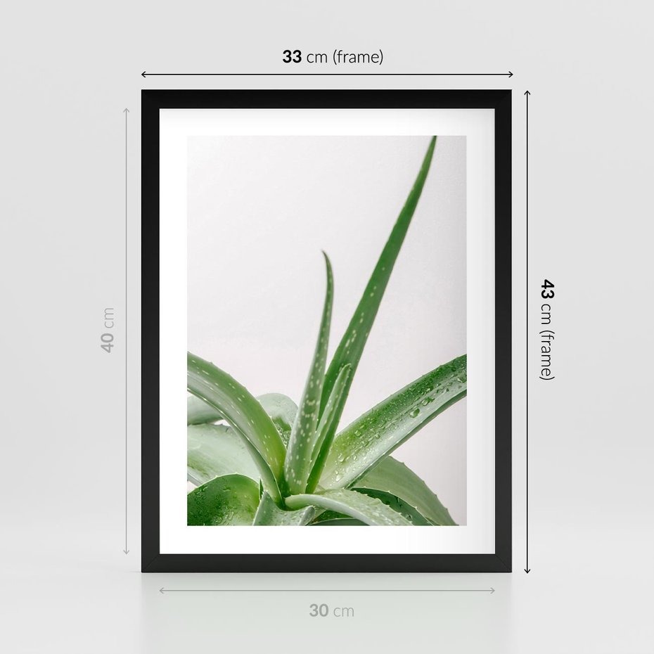 Plakat w ramie 30x40 - Zielone Piękno - aloes, liście - rama czarna