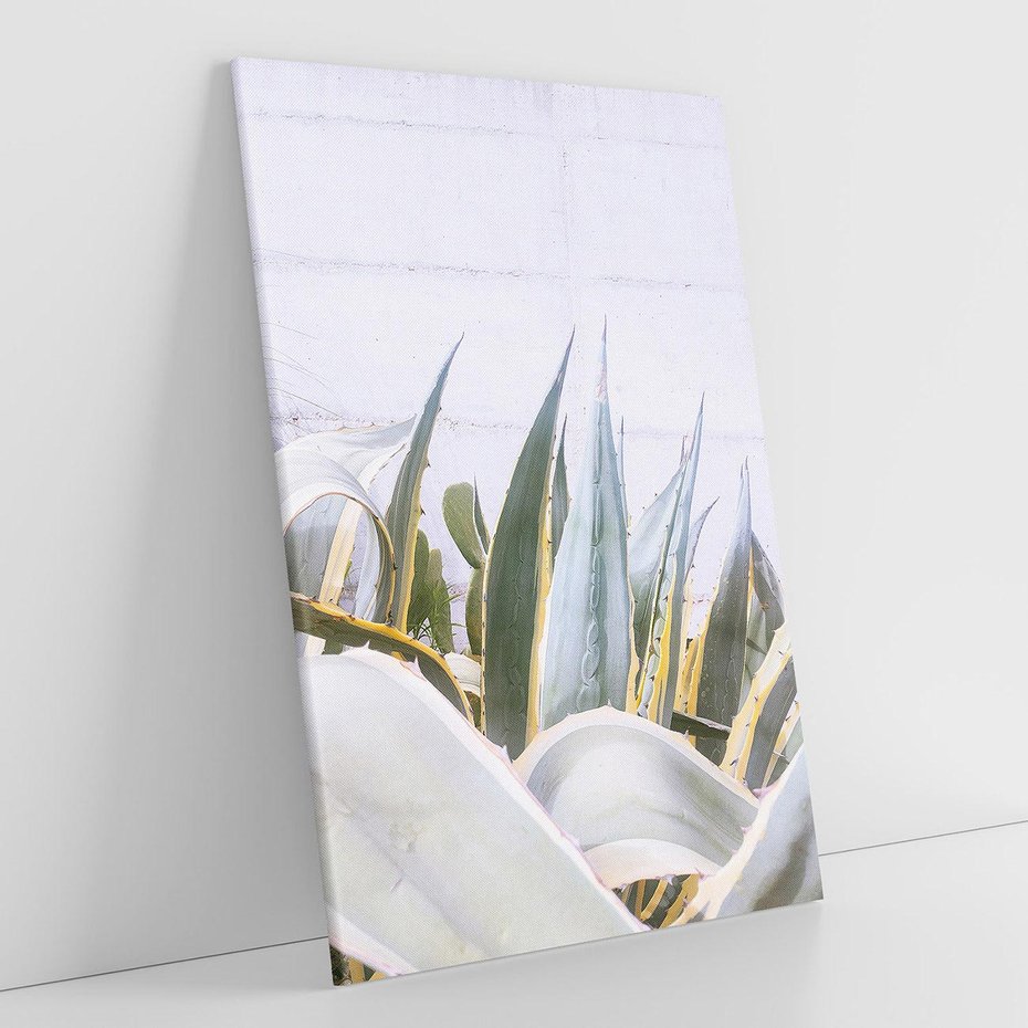 Obraz na płótnie 50x70 - Sukulentowe liście - liście, sukulenty