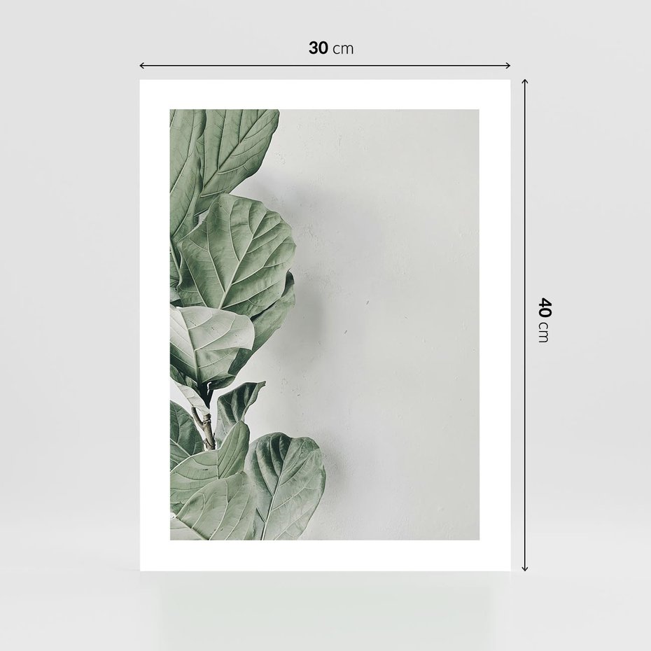 Plakat bez ramy 30x40 - Minimalistyczna Harmonia: Zieleń Liści - zieone liście, kompozycja