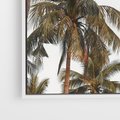 Obraz w ramie 80x80 - Palmy - tęsknota za Hawajami - palmy, Hawaje - rama biała
