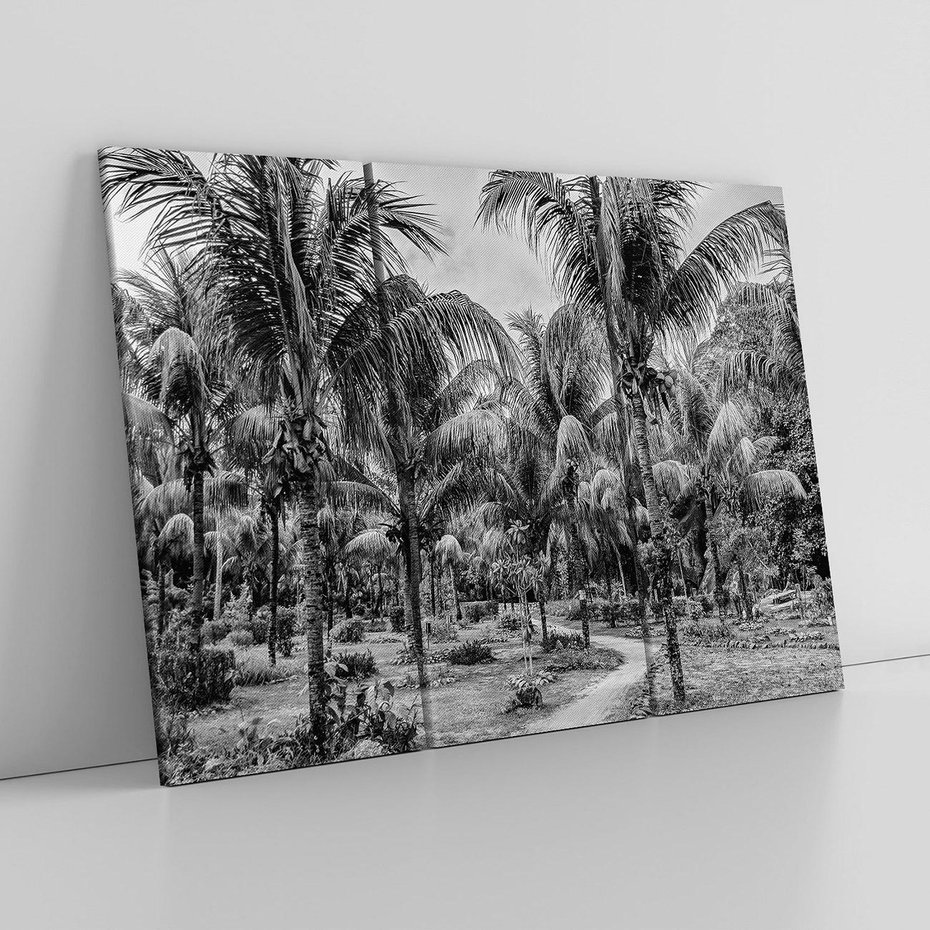 Obraz na płótnie 120x80 - Mroczna Ścieżka Tropików - czarno biała fotografia, ścieżka pośród palm