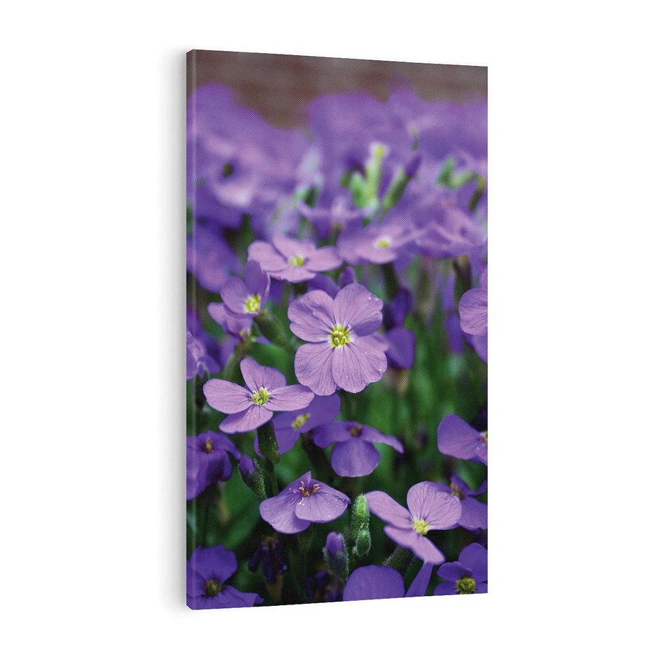 Obraz na płótnie 70x100 - Kwiatowe uniesienia magia natury - kwiat, kwiaty