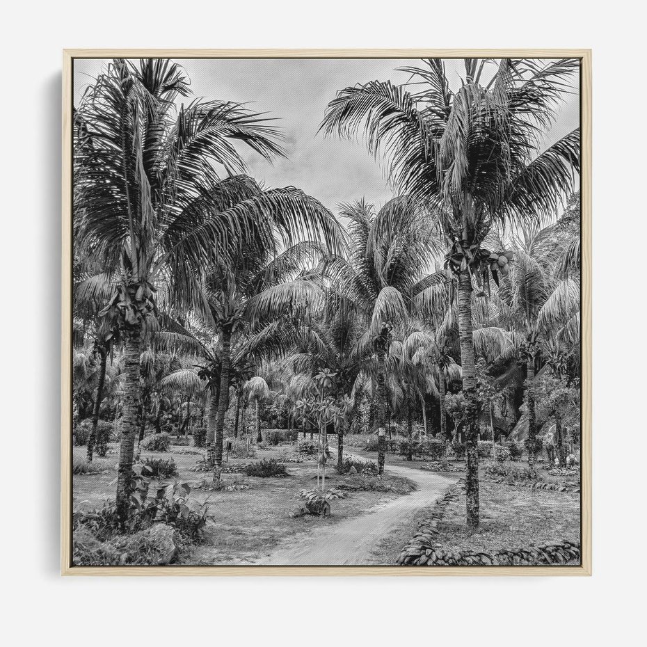 Obraz w ramie 80x80 - Mroczna Ścieżka Tropików - czarno biała fotografia, ścieżka pośród palm - rama drewno