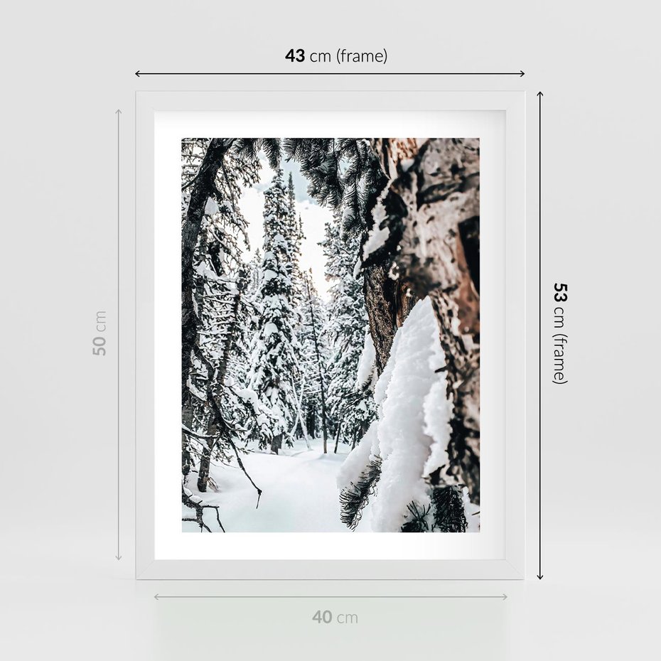 Plakat w ramie 40x50 - Drzewa pod Śniegiem - zima las, drzewa pod śniegiem - rama biała