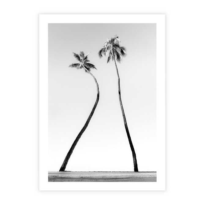 Plakat bez ramy 21x30 - Samotne Palmy - czarno biała fotografia, dwie samotne palmy