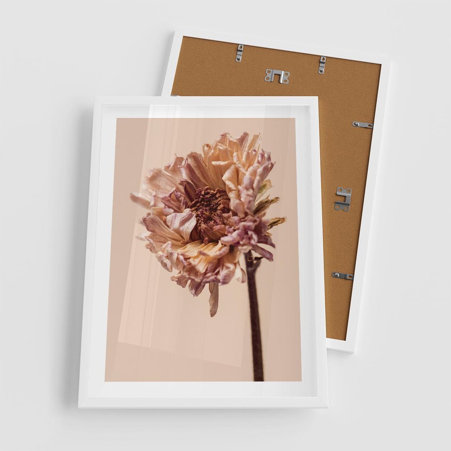 Plakat w ramie 50x70 - Delikatne piękno - suche, kwiaty - rama biała