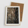 Plakat w ramie 50x70 - Tekstura Drewna: Zbliżenie - zbliżenie na pień drzewa, tekstura - rama drewno