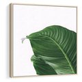 Obraz w ramie 80x80 - Zielone liście monstery - liście, monstera - rama drewno