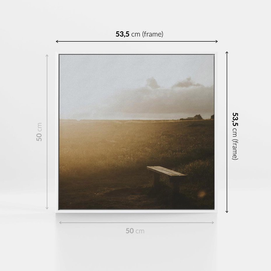 Obraz w ramie 50x50 - Mglisty zachód słońca na ławeczce - mgła, zachód - rama biała