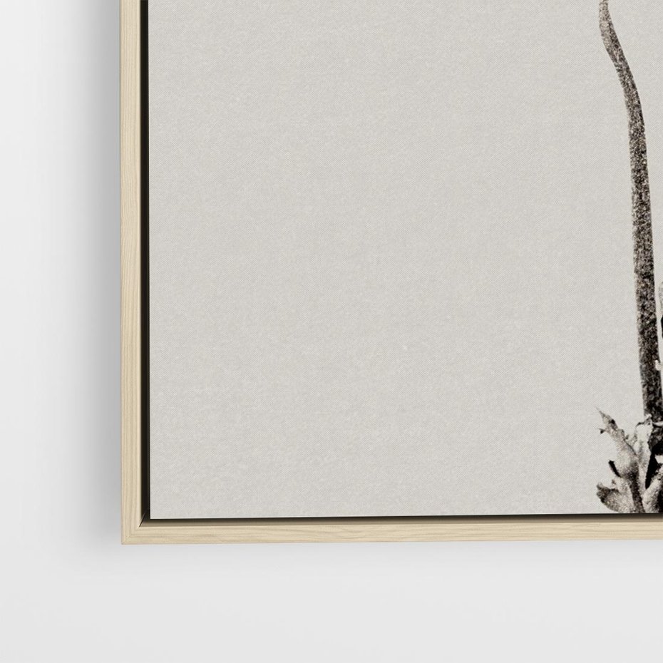 Obraz w ramie 80x80 - Kwiatowa Symfonia w Szarościach - czarno biała odbitka, jak fotografia - rama drewno