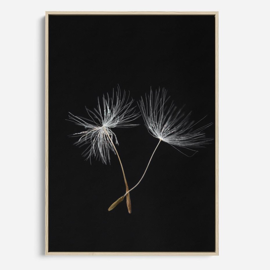 Obraz w ramie 50x70 - Delikatność Wiatru - dmuchawce, makro - rama drewno