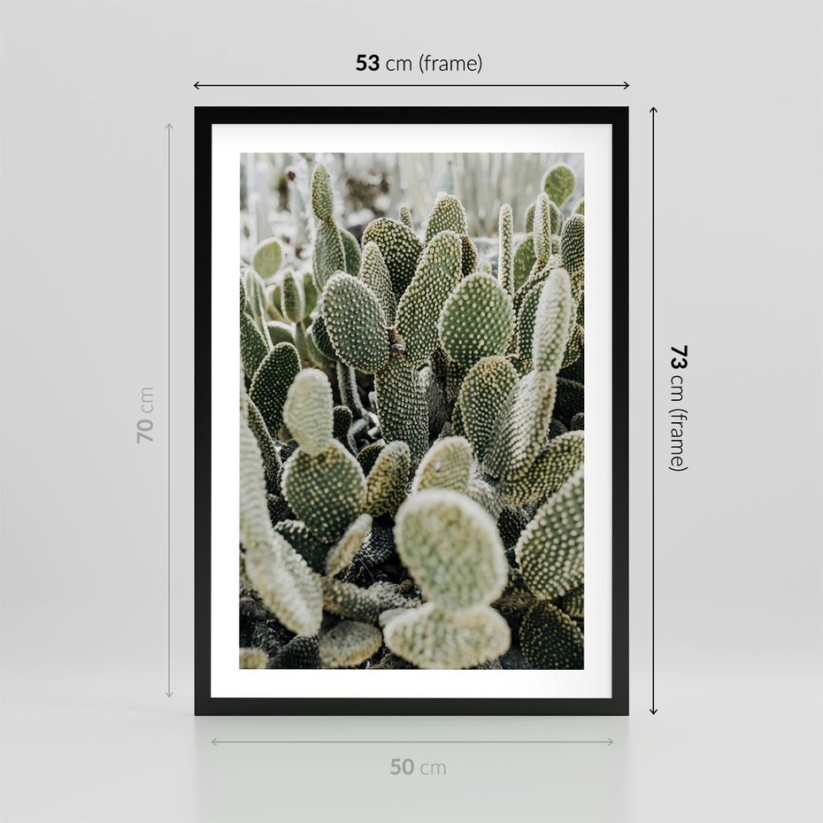 Plakat w ramie 50x70 - Kaktusowa Harmonia - kaktusy, fotografia - rama czarna