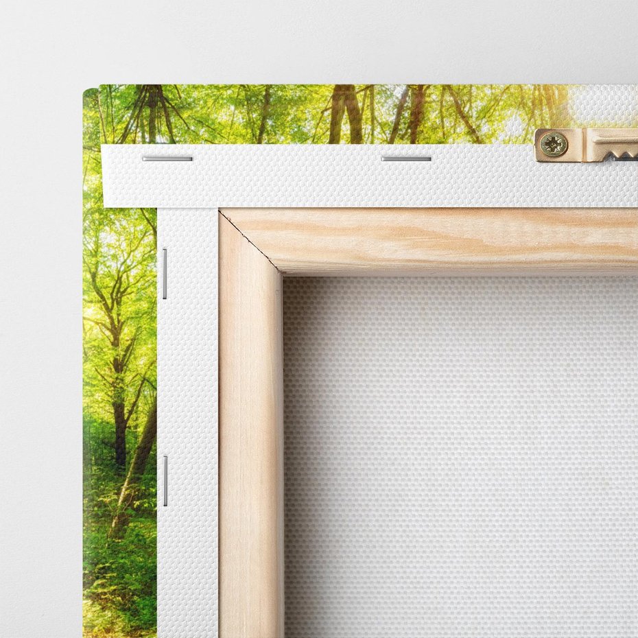 Obraz na płótnie 120x60 - Mistyfikujący las - las, drzewa