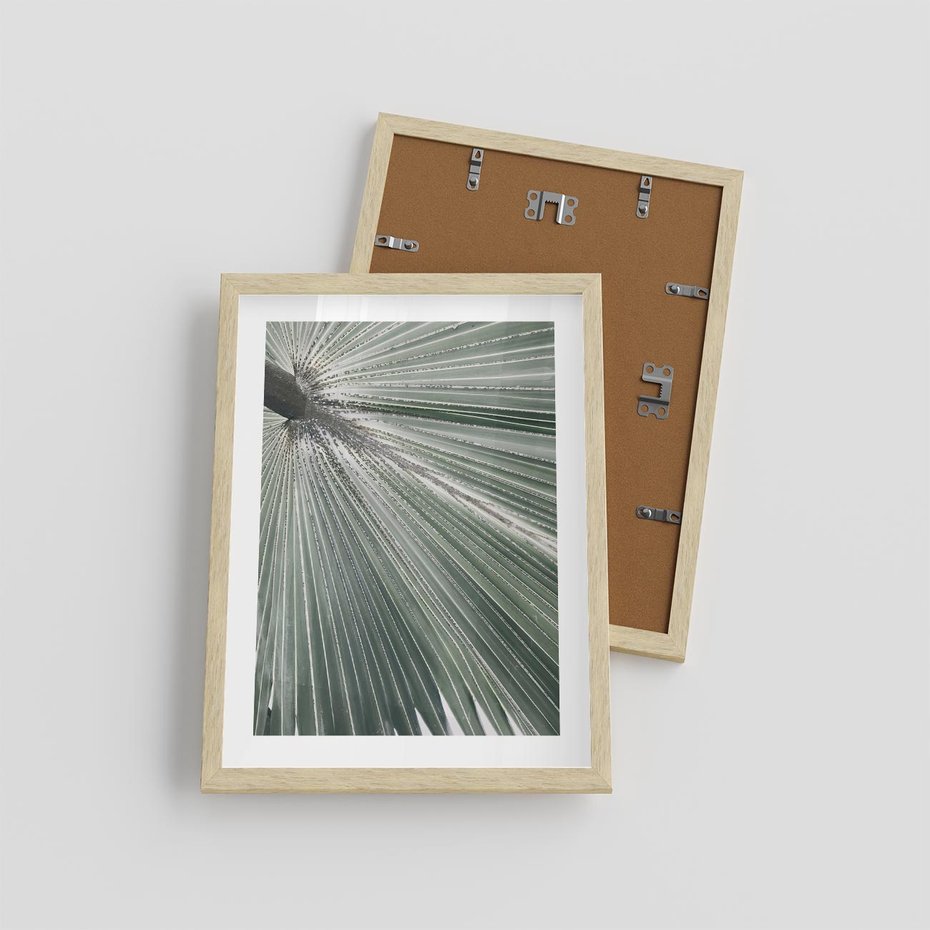 Plakat w ramie 30x40 - Jasnozielony Świat - palma, liść - rama drewno