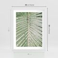 Plakat w ramie 40x50 - Jasna Zieleń Palmy - liść palmy, zbliżenie - rama biała