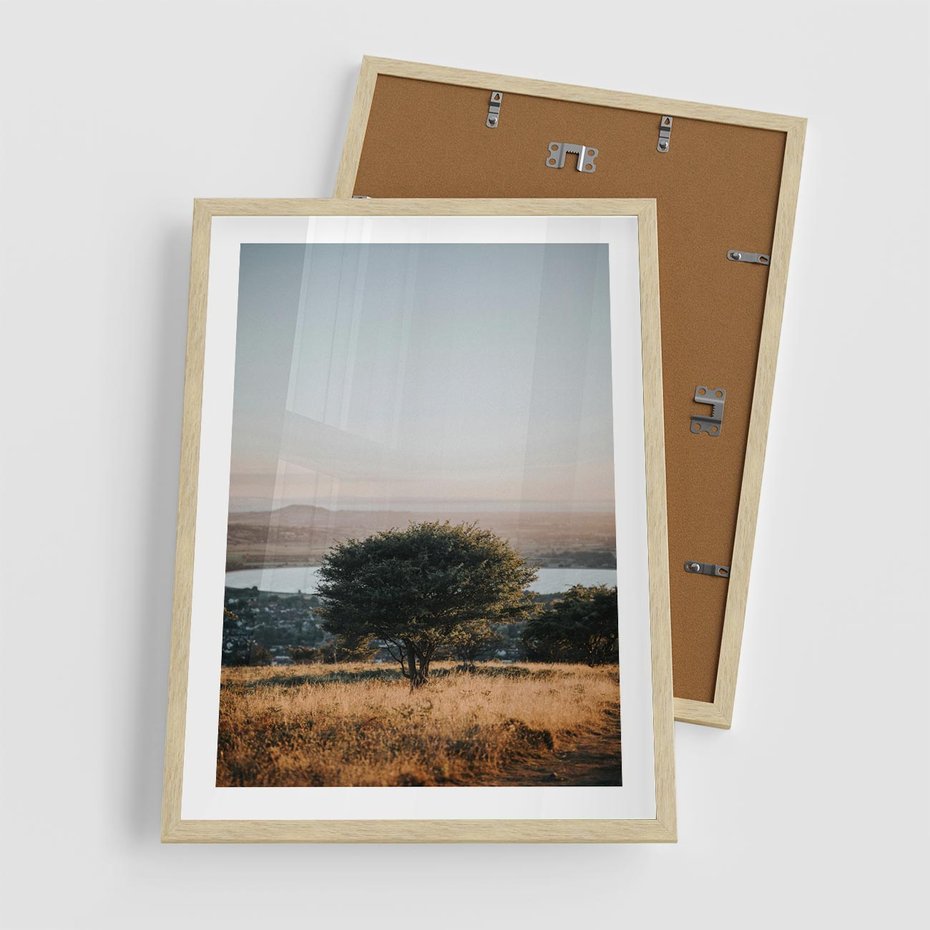 Plakat w ramie 50x70 - Siła Natury - drzewo, pejzaż - rama drewno