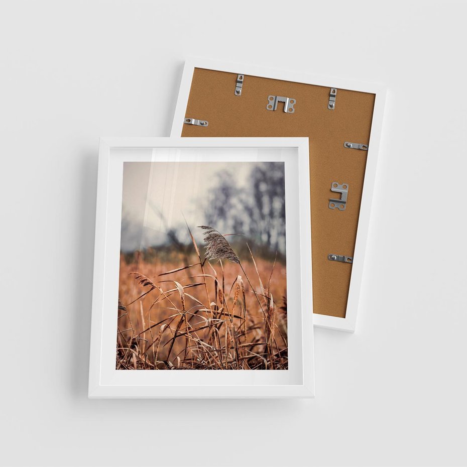 Plakat w ramie 40x50 - Jesienna Melancholia - suche trawy, jesień - rama biała
