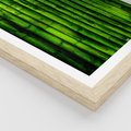 Plakat w ramie 50x70 - Bambusowy urok zielonej harmonii - bambus, zieleń - rama drewno